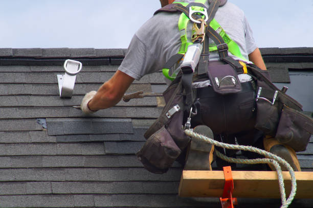 Best Roof Gutter Cleaning  in Largo, MD