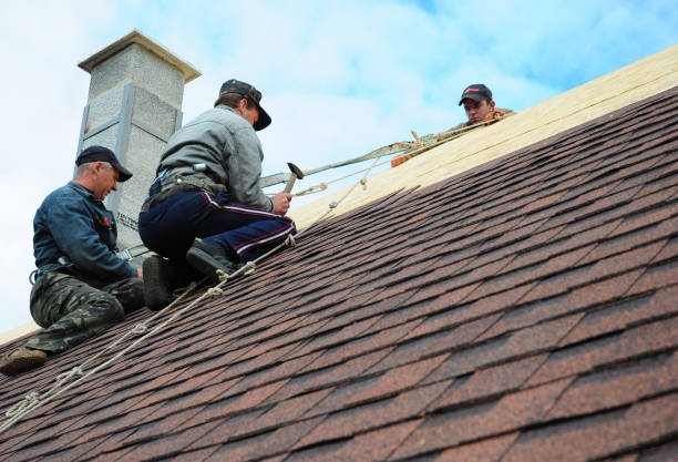 Best Roof Maintenance Services  in Largo, MD